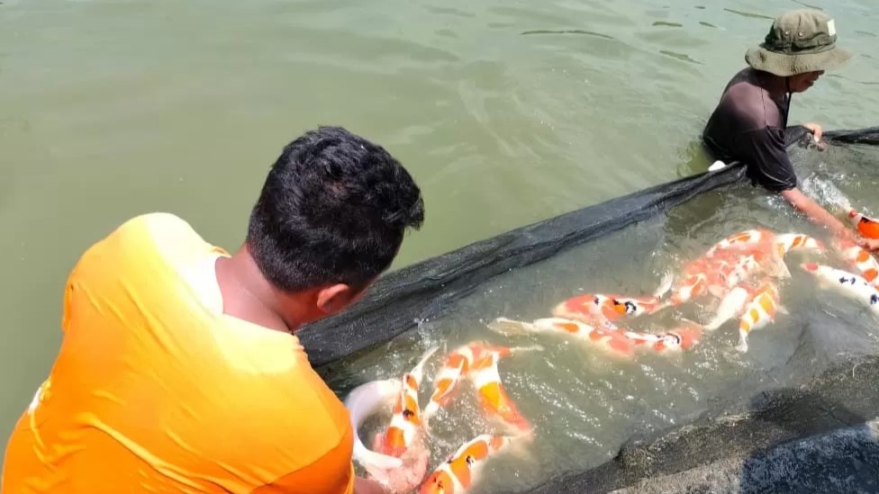 Blitar Gali Potensi Budi Daya Ikan Ratusan Miliar