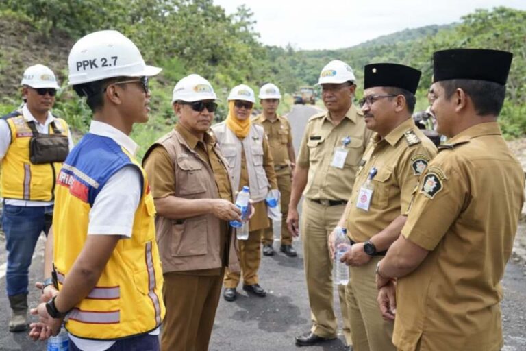 Bupati Blitar Tinjau Proyek Jalur Lintas Selatan 2026