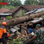 Rumah Warga Blitar Tertimpa Pohon Akibat Angin Kencang