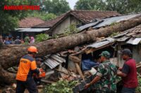 Rumah Warga Blitar Tertimpa Pohon Akibat Angin Kencang