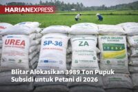 Pemerintah Blitar Salurkan 3989 Ton Pupuk Subsidi