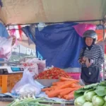 Program MBG Libur, Harga Sayuran di Blitar Turun Drastis