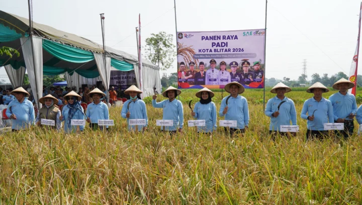 Wali Kota Blitar Pimpin Panen Raya Padi 2026 di Kepanjenkidul