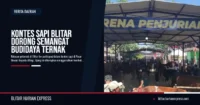 Kontes Sapi Blitar Dorong Semangat Budidaya Ternak
