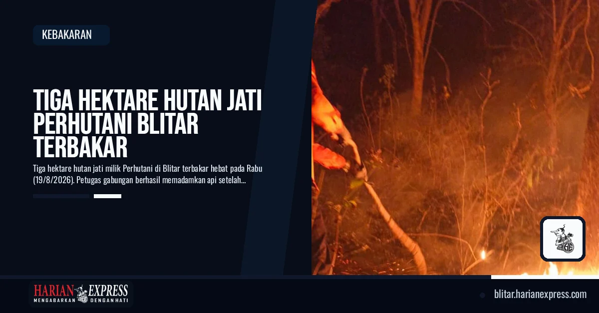 Tiga Hektare Hutan Jati Perhutani Blitar Terbakar