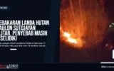 Kebakaran Landa Hutan Kaulon Sutojayan Blitar, Penyebab Masih Diselidiki