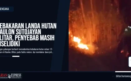 Kebakaran Landa Hutan Kaulon Sutojayan Blitar, Penyebab Masih Diselidiki