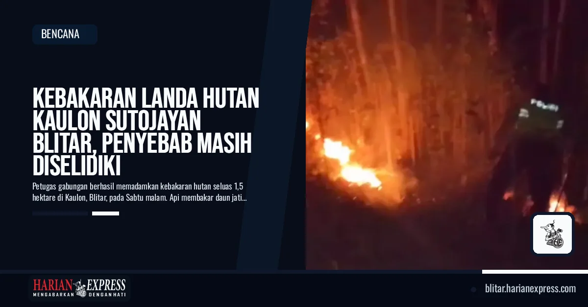 Kebakaran Landa Hutan Kaulon Sutojayan Blitar, Penyebab Masih Diselidiki