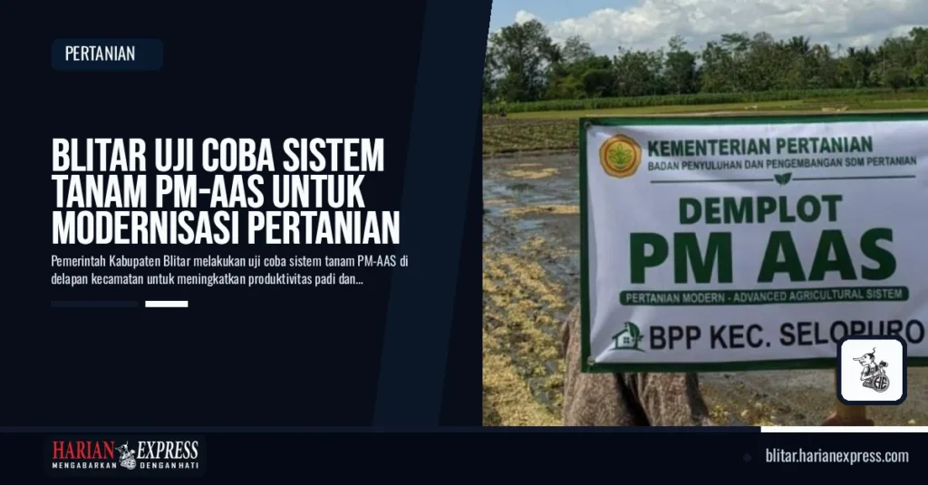 Blitar Uji Coba Sistem Tanam PM-AAS untuk Modernisasi Pertanian