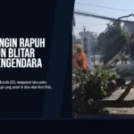 Dahan Beringin Rapuh di Alun-alun Blitar Menimpa Pengendara Motor