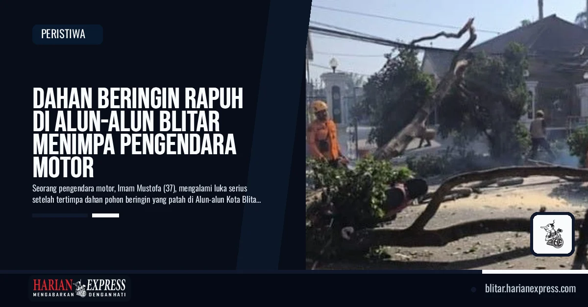 Dahan Beringin Rapuh di Alun-alun Blitar Menimpa Pengendara Motor