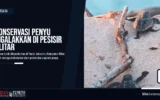 Konservasi Penyu Digalakkan di Pesisir Blitar
